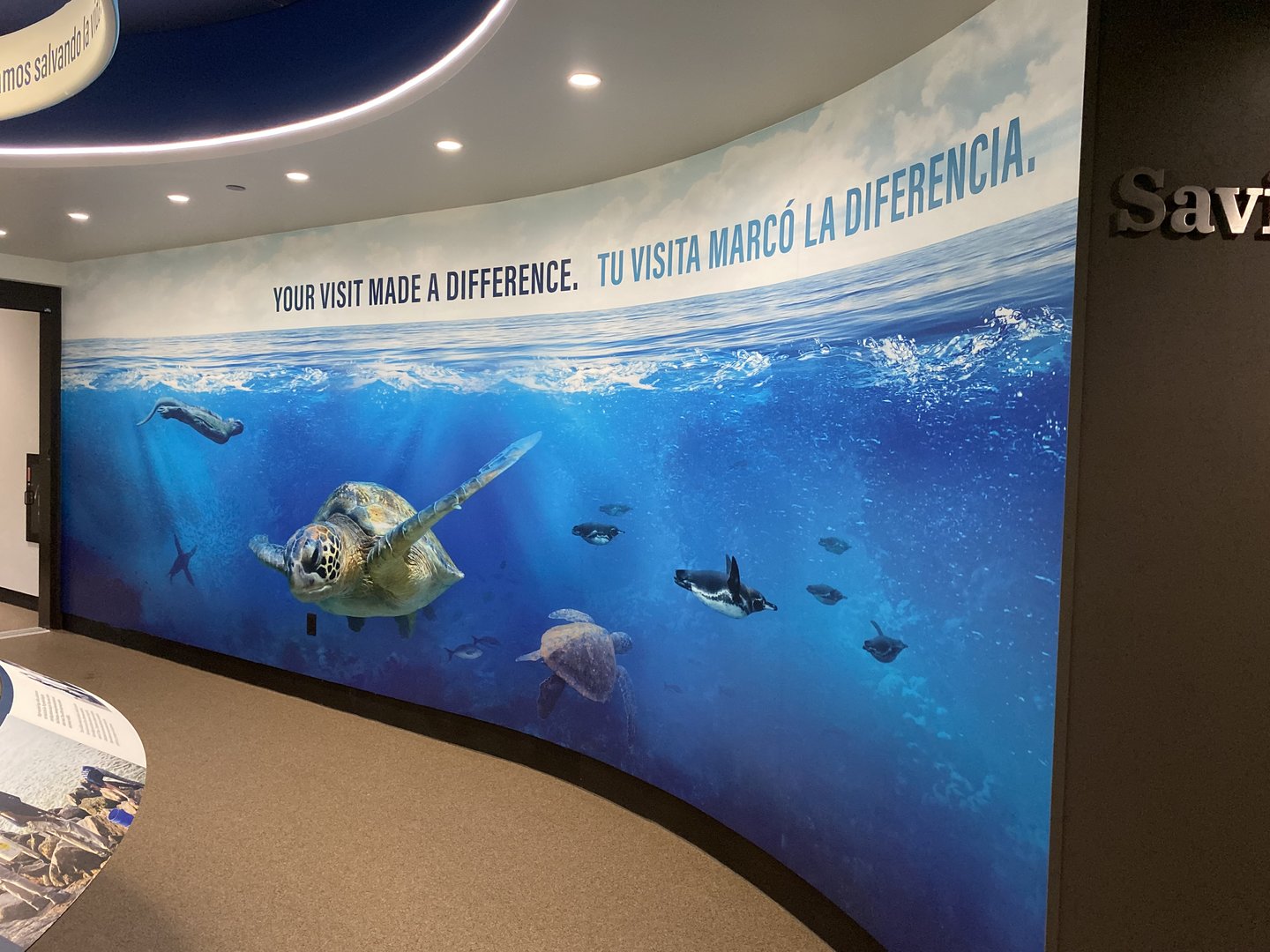 Galápagos Islands- Saving Our Shared Ocean