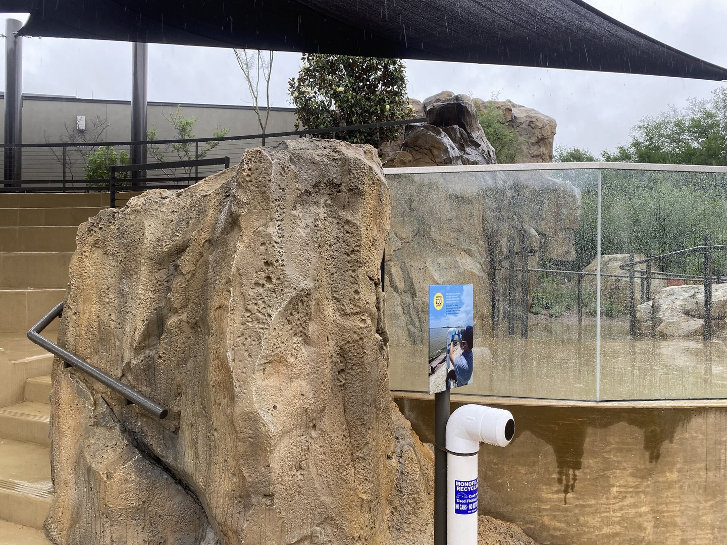 Galápagos Islands- Sea Lion Amphitheater