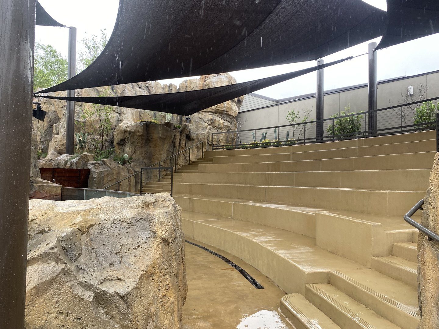 Galápagos Islands- Sea Lion Amphitheater