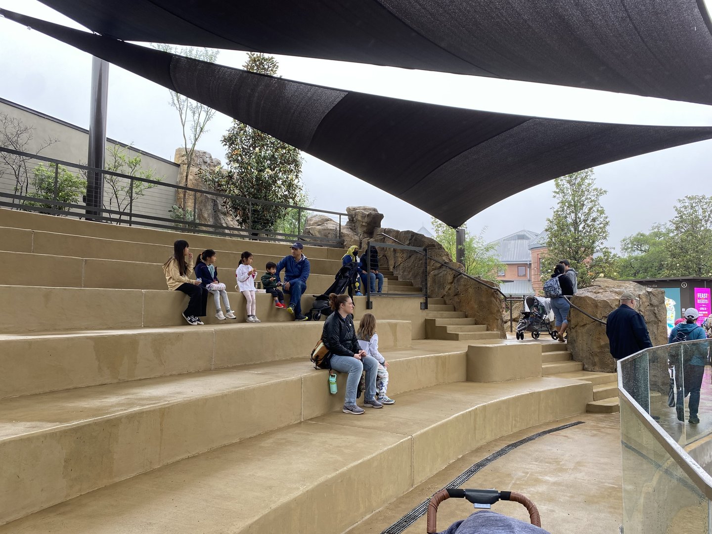 Galápagos Islands- Sea Lion Amphitheater
