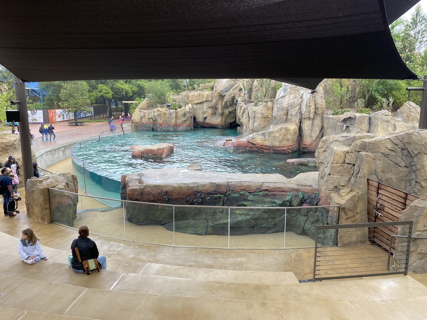 Galápagos Islands- Sea Lion Amphitheater