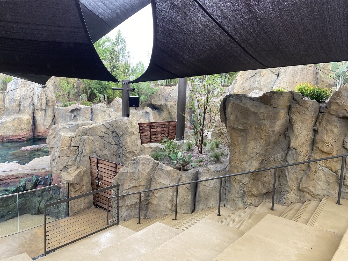 Galápagos Islands- Sea Lion Amphitheater