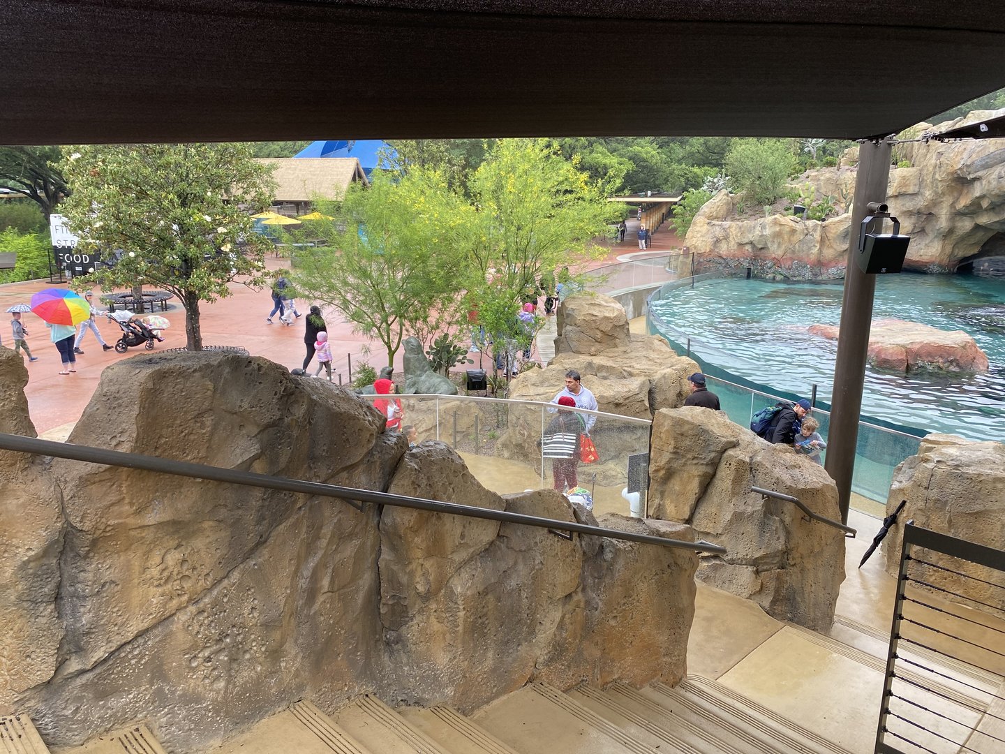 Galápagos Islands- Sea Lion Amphitheater