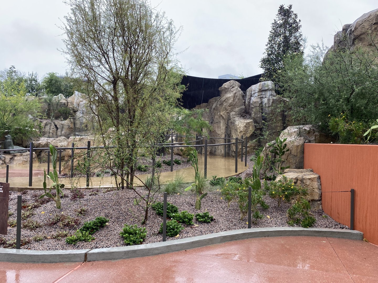 Galápagos Islands- Sea Lion Coast