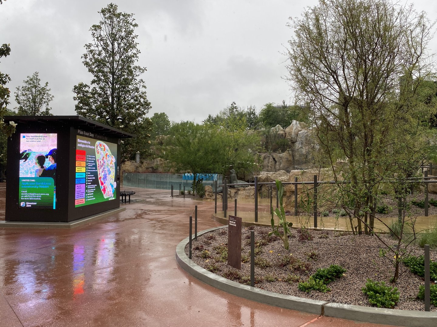 Galápagos Islands- Sea Lion Coast