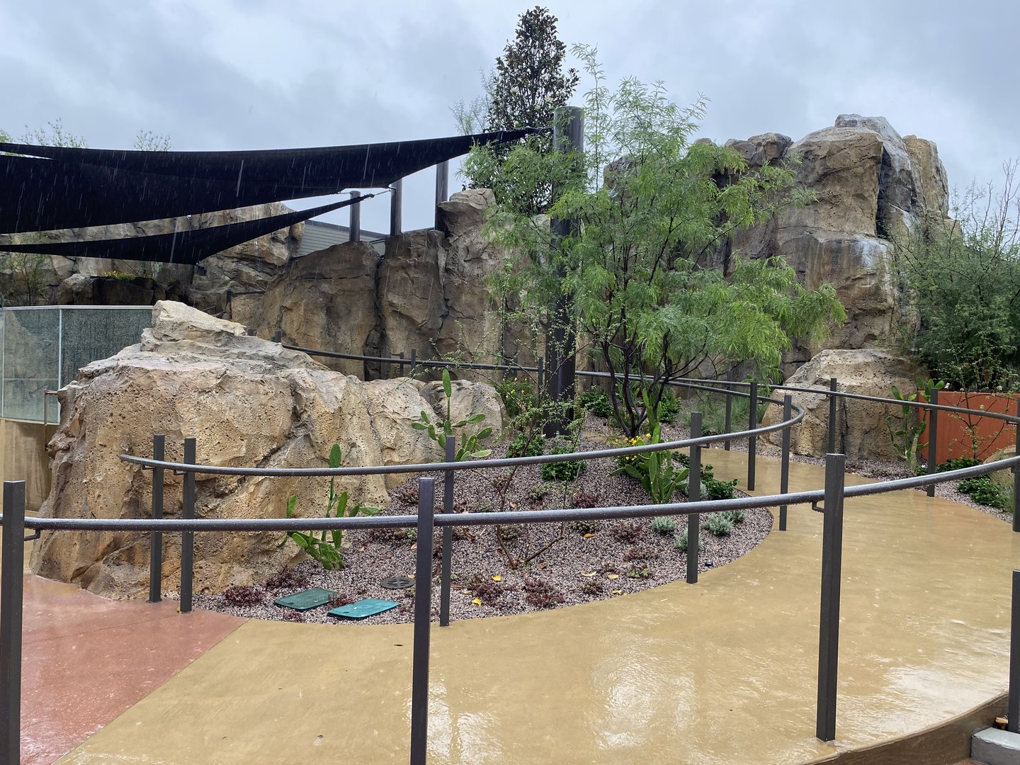 Galápagos Islands- Sea Lion Coast