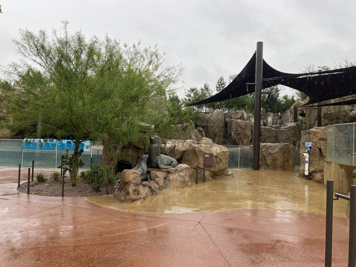 Galápagos Islands- Sea Lion Coast