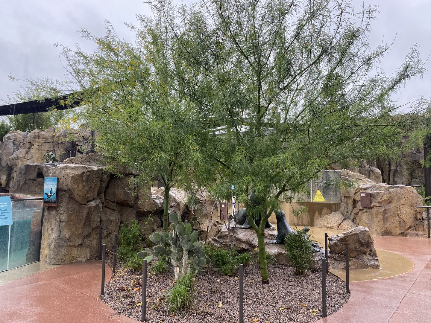 Galápagos Islands- Sea Lion Coast