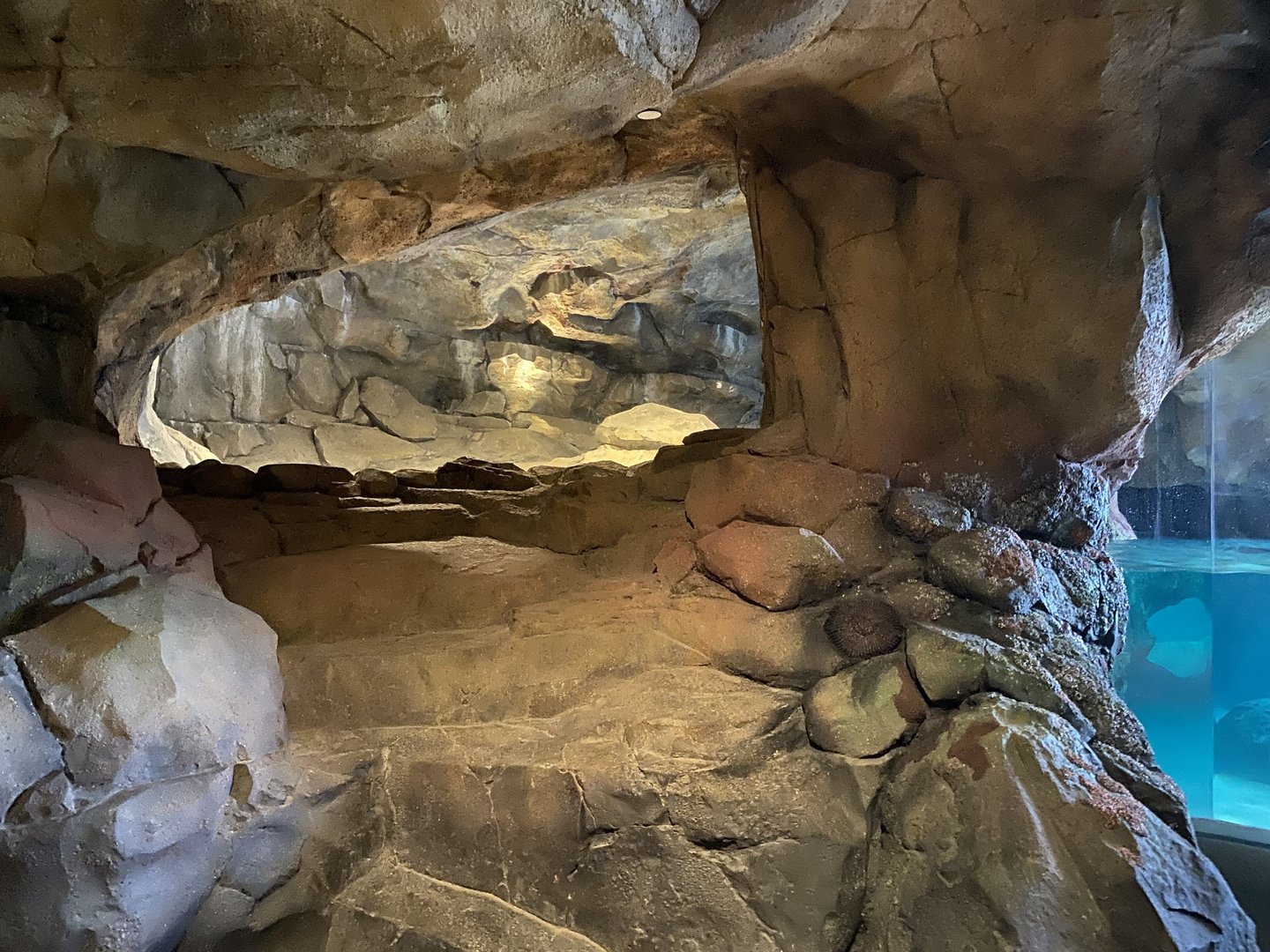 Galápagos Islands- Sea Lion Enclosure