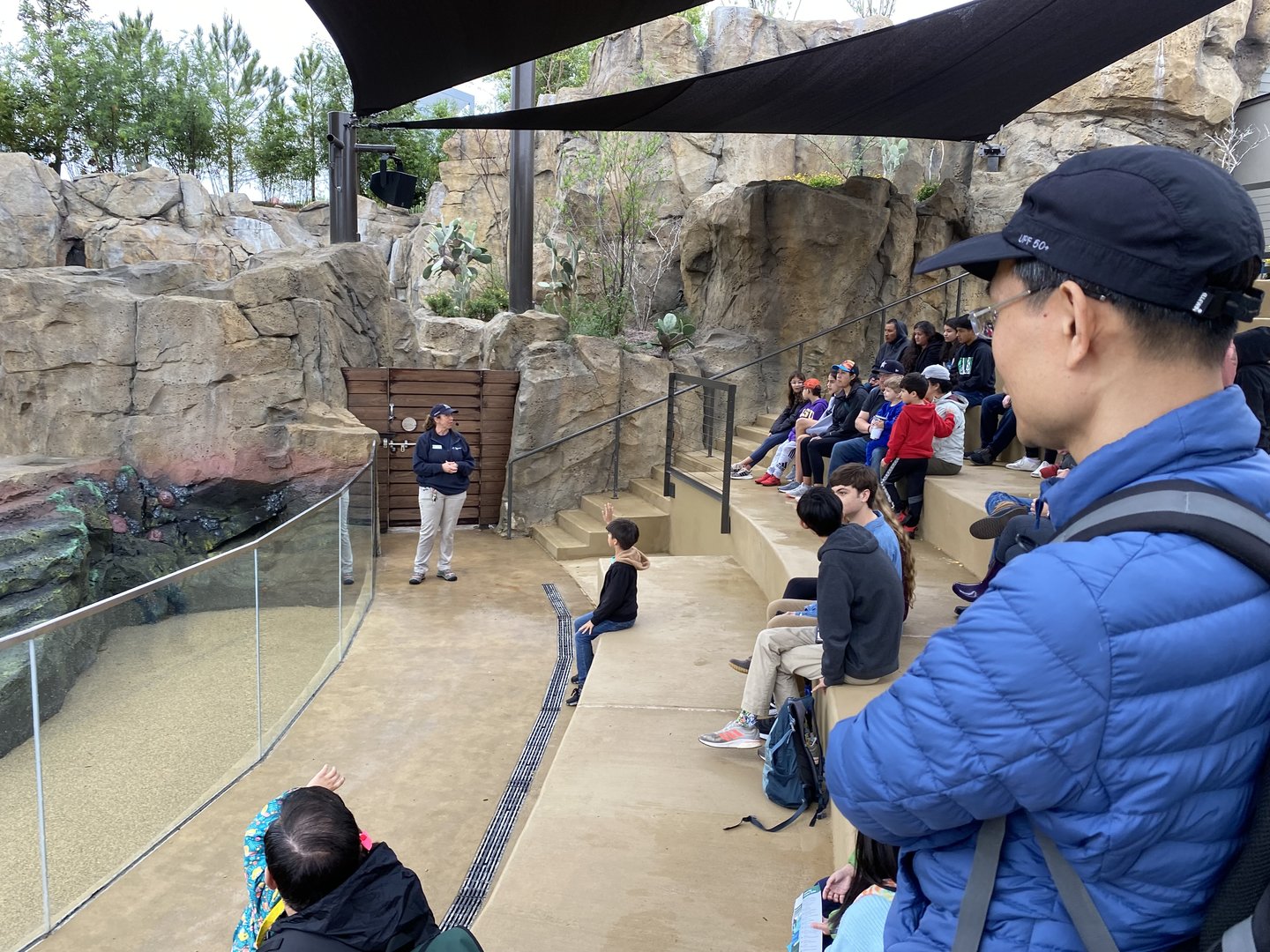 Galápagos Islands- Sea Lion Show