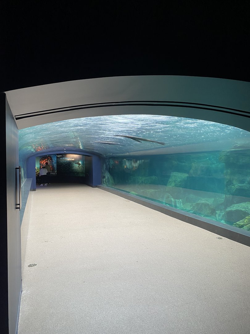 Galápagos Islands- Sea Lion Tunnel