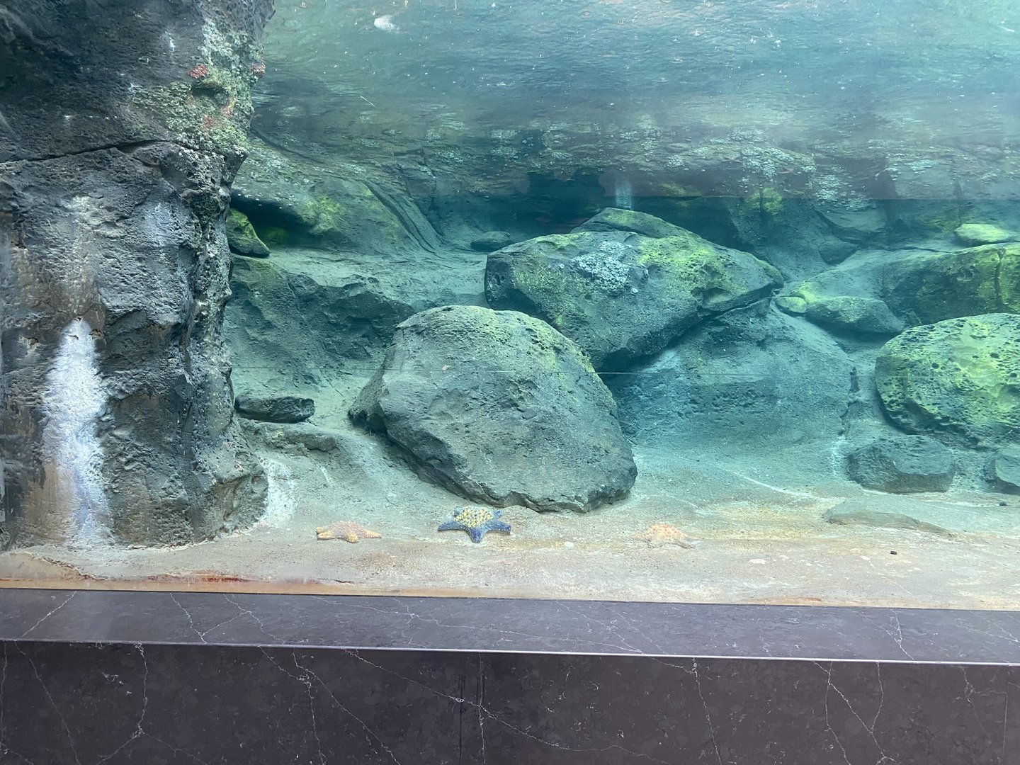 Galápagos Islands- Sea Lion Tunnel