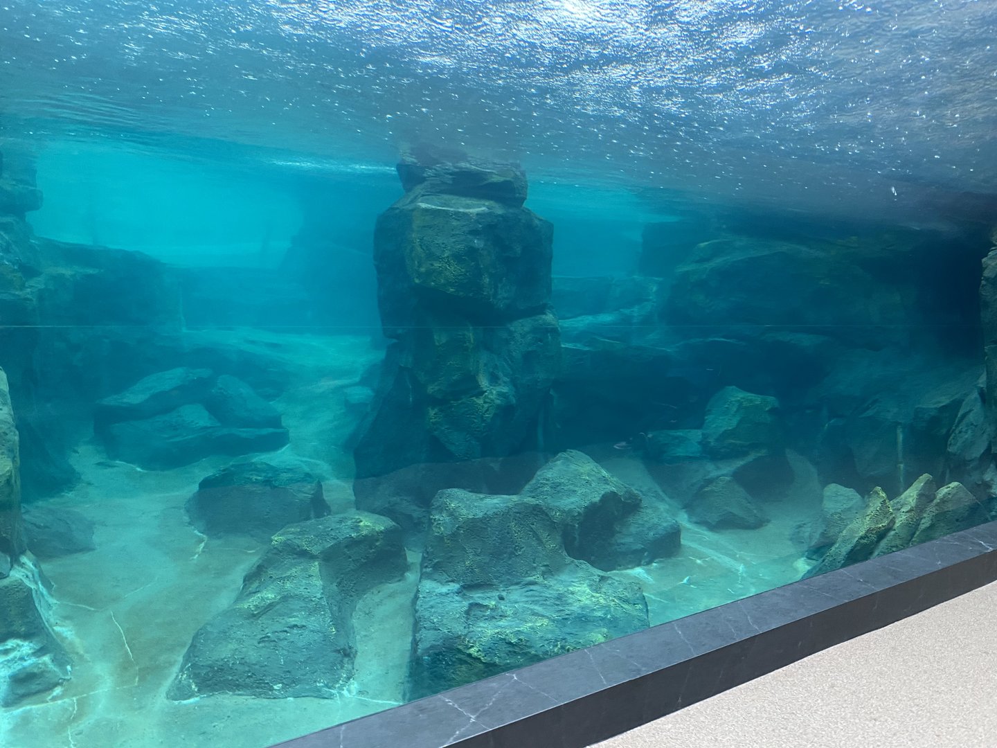 Galápagos Islands- Sea Lion Tunnel