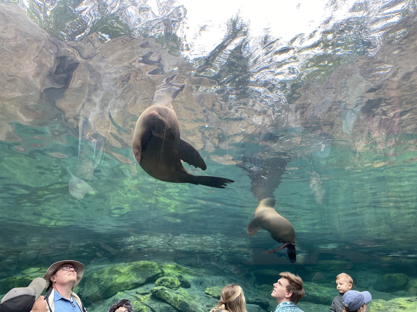 Galápagos Islands- Sea Lion Tunnel