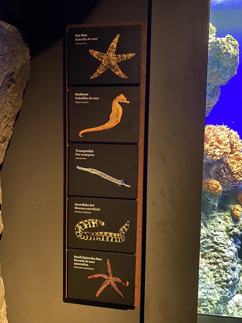 Galápagos Islands- Species List