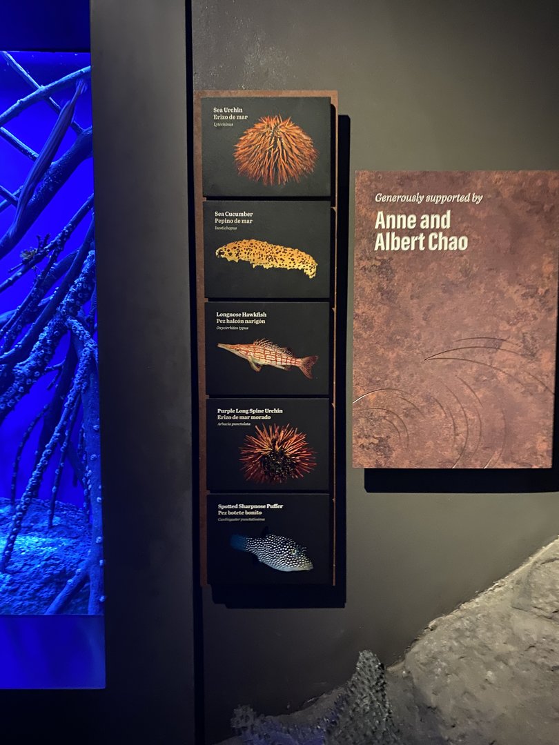 Galápagos Islands- Species List