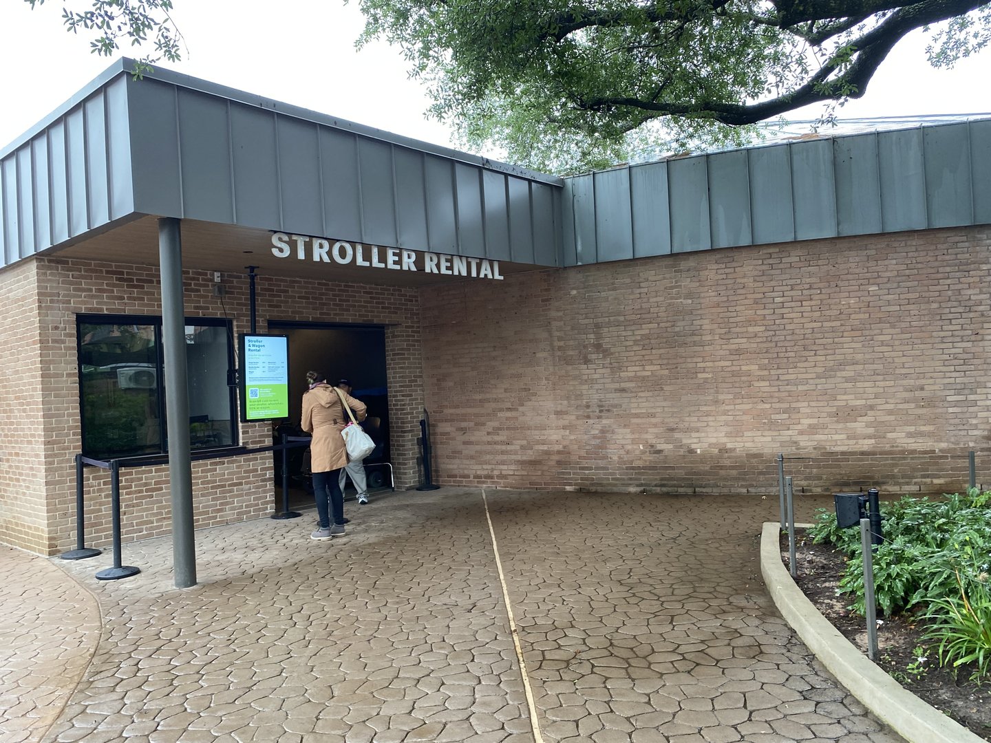 Galápagos Islands- Stroller Rental