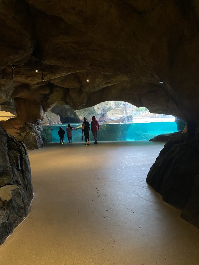 Galápagos Islands- Submerged Worlds