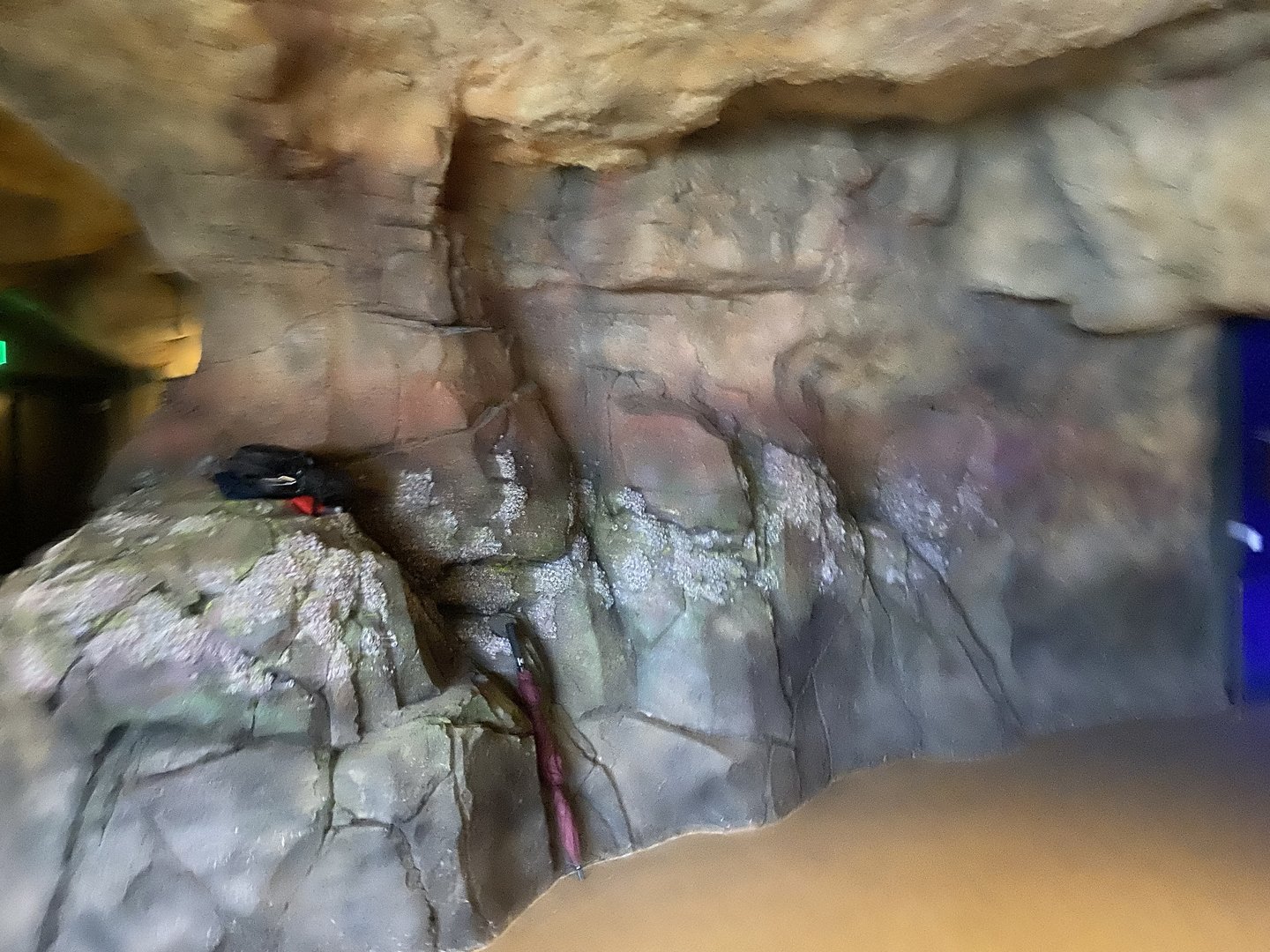 Galápagos Islands- Submerged Worlds