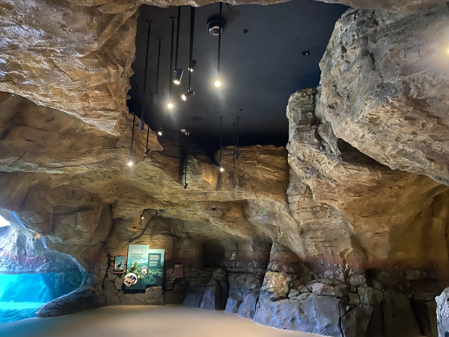 Galápagos Islands- Submerged Worlds