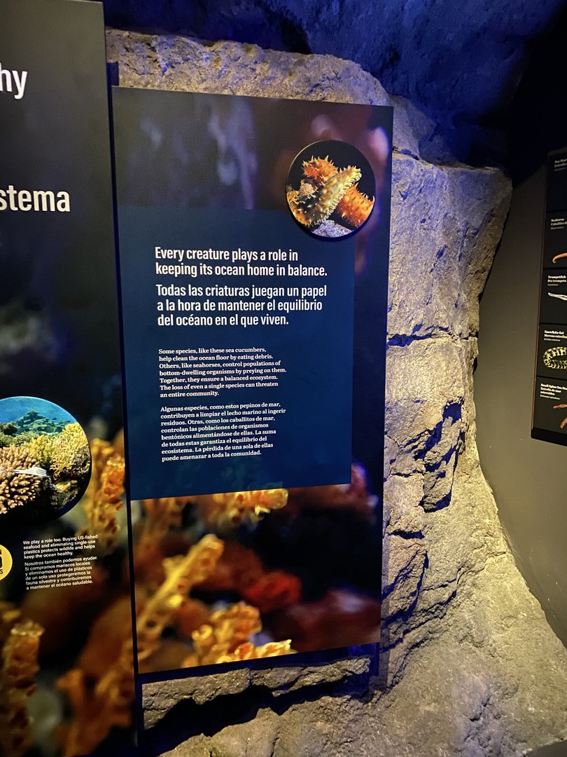 Galápagos Islands- Teamwork Signage