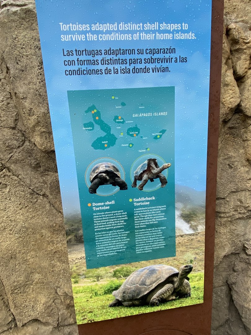 Galápagos Islands- Tortoise Shell Sign