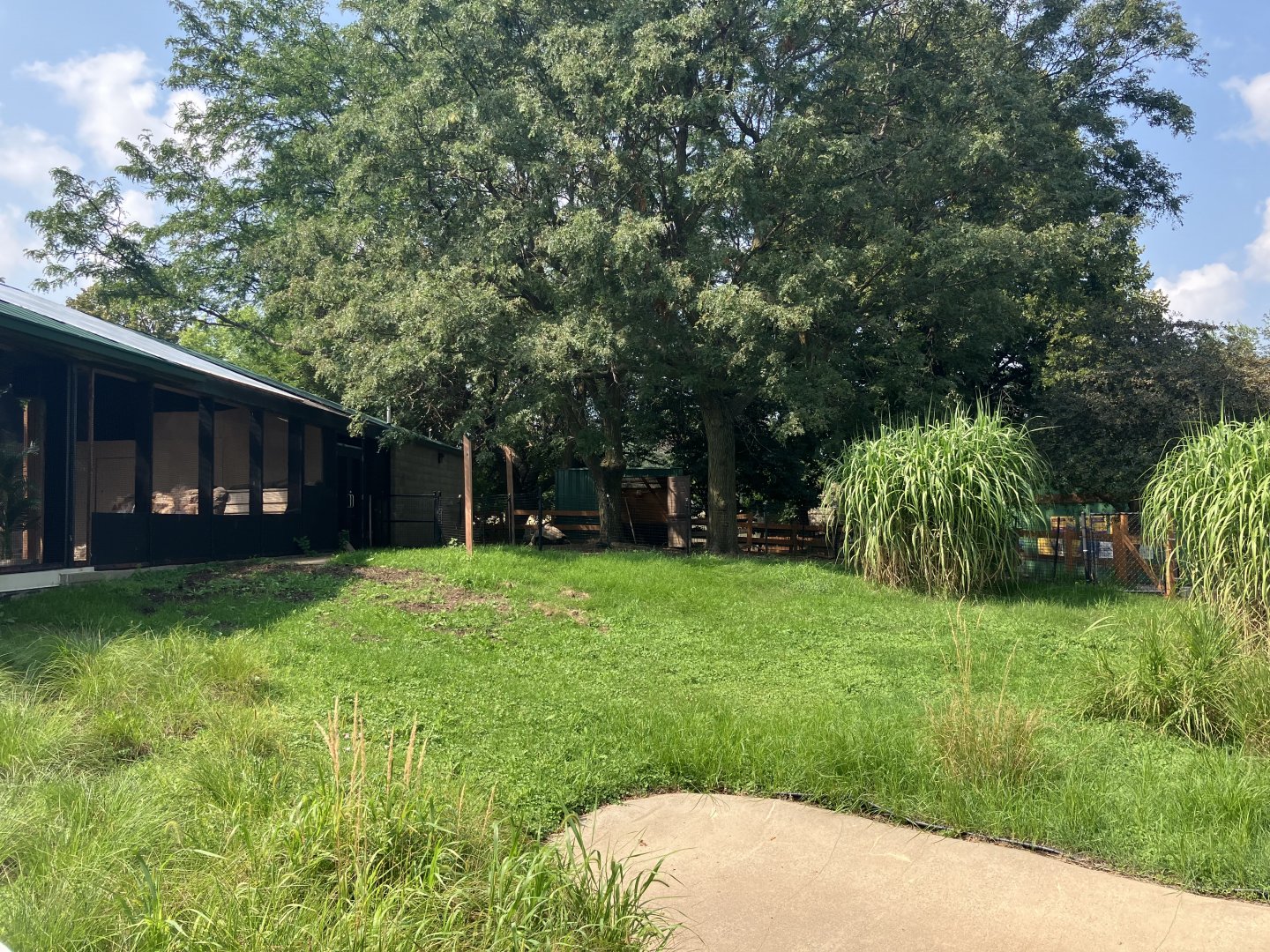 Galapagos - Outdoor Chilean Flamingo Exhibit