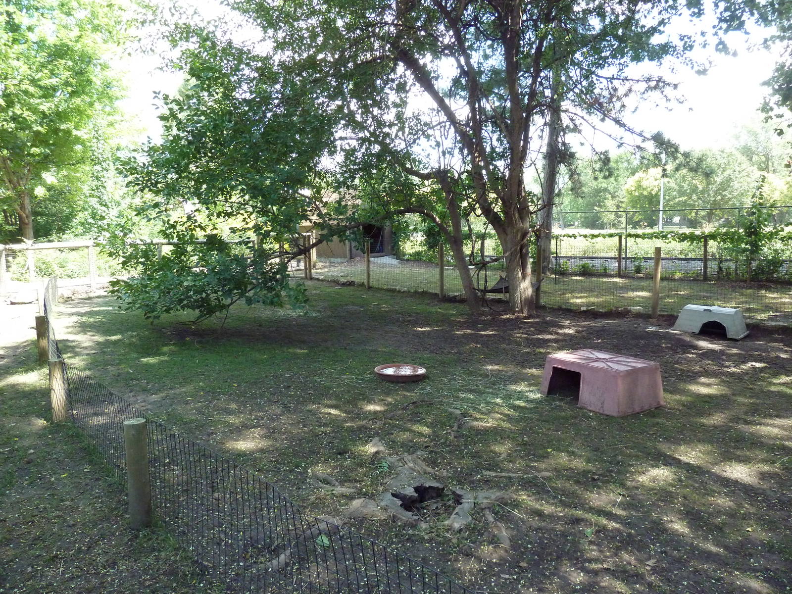 Galapagos Tortoise/African Spurred Tortoise Exhibit