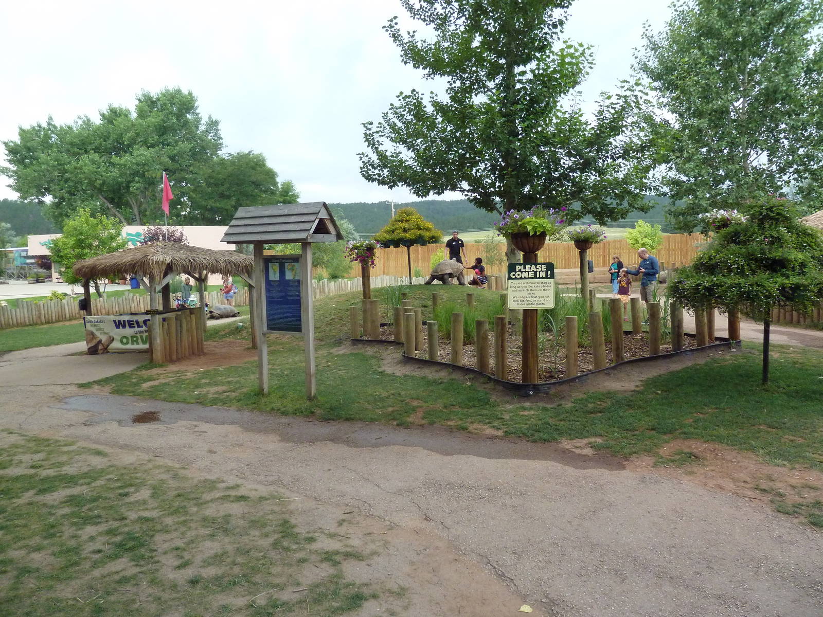 Galapagos Tortoise/Aldabra Tortoise Walk-Through Yard