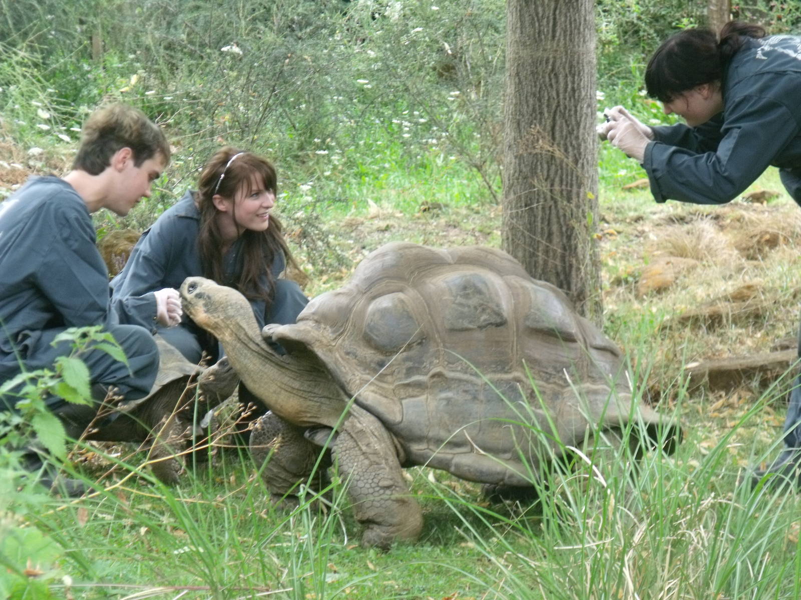 Galapagos tortoise and keepers.
