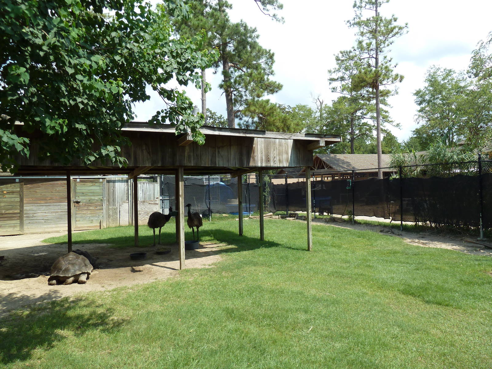 Galapagos Tortoise/Emu Exhibit