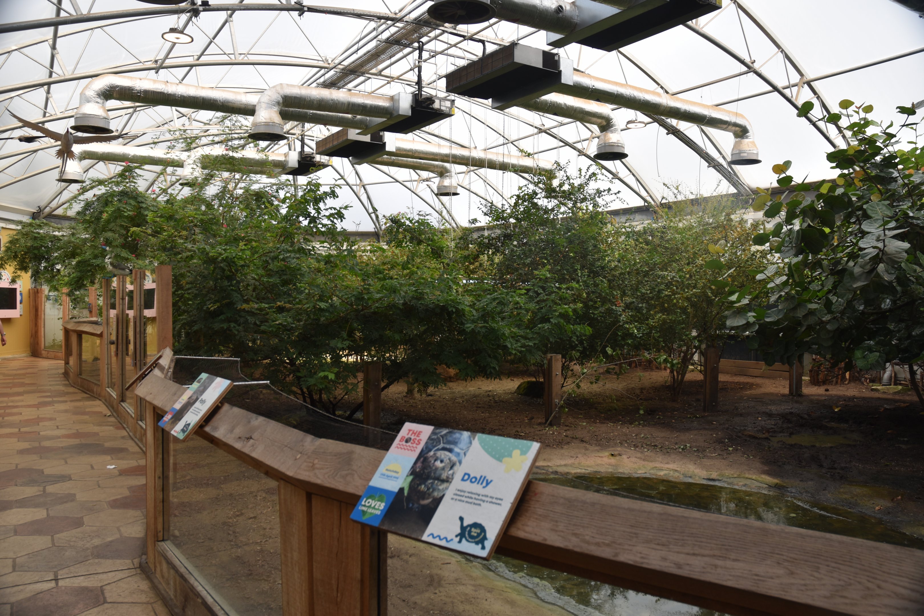 Galapagos Tortoise Enclosure at London, 22nd June 2024