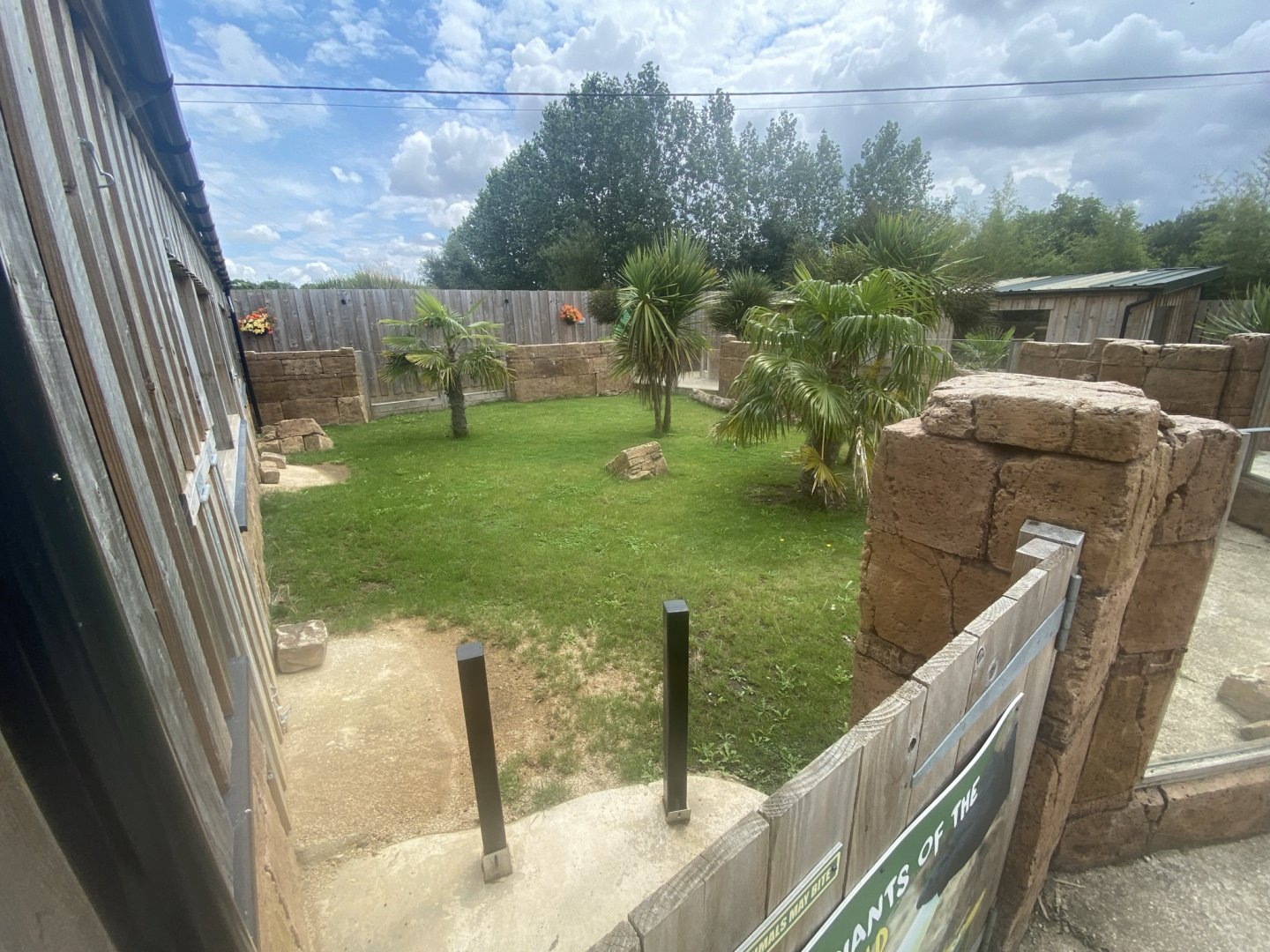 Galapagos tortoise exhibit 020821
