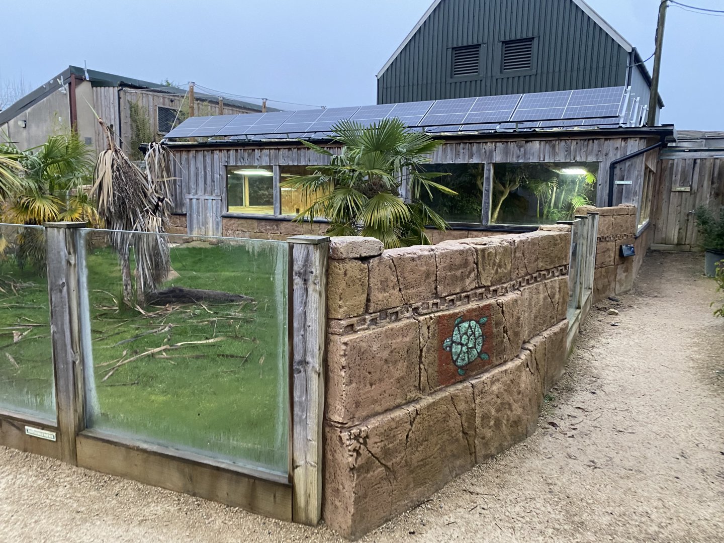 Galapagos tortoise exhibit 040124