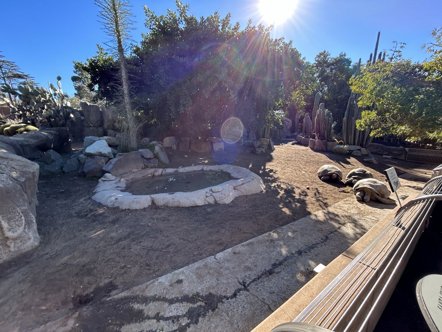 Galapagos Tortoise Exhibit - Reptile Walk