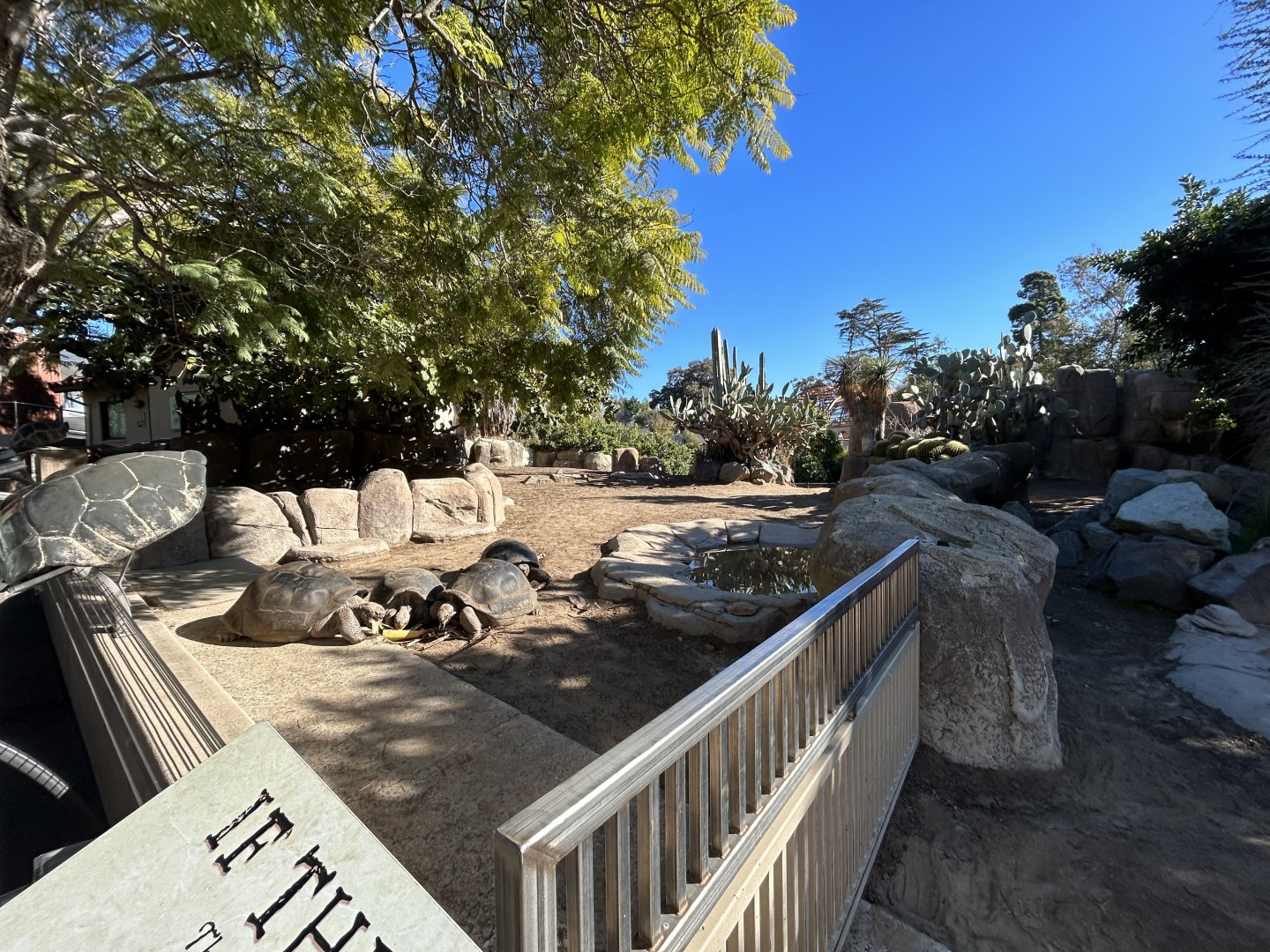 Galapagos Tortoise Exhibit - Reptile Walk