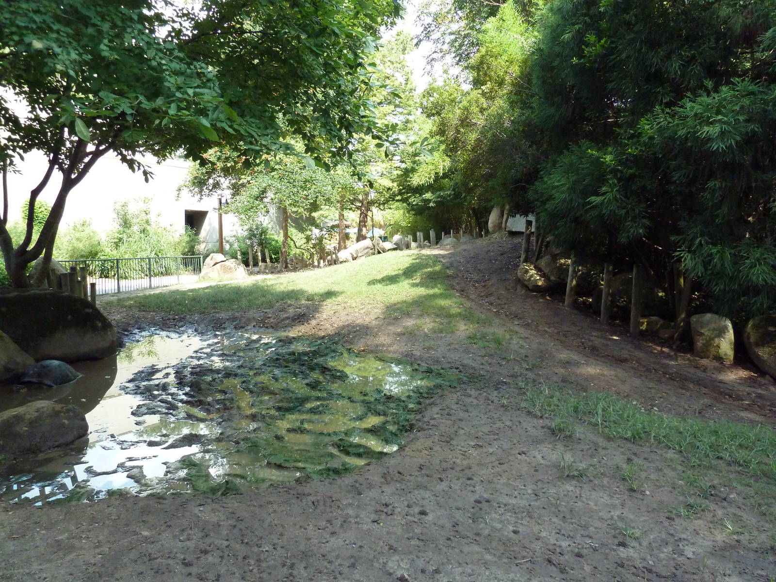 Galapagos Tortoise Exhibit