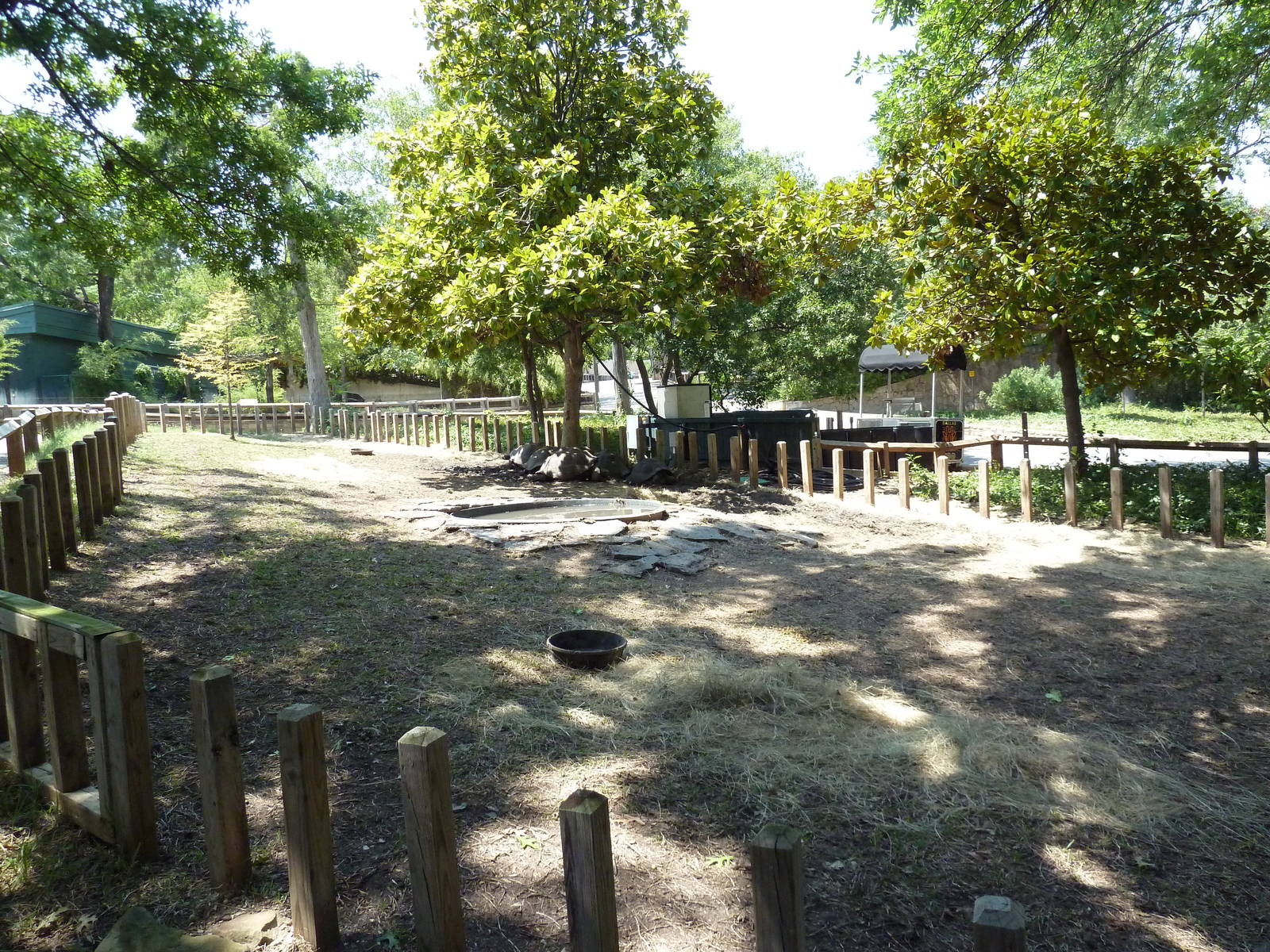 Galapagos Tortoise Exhibit