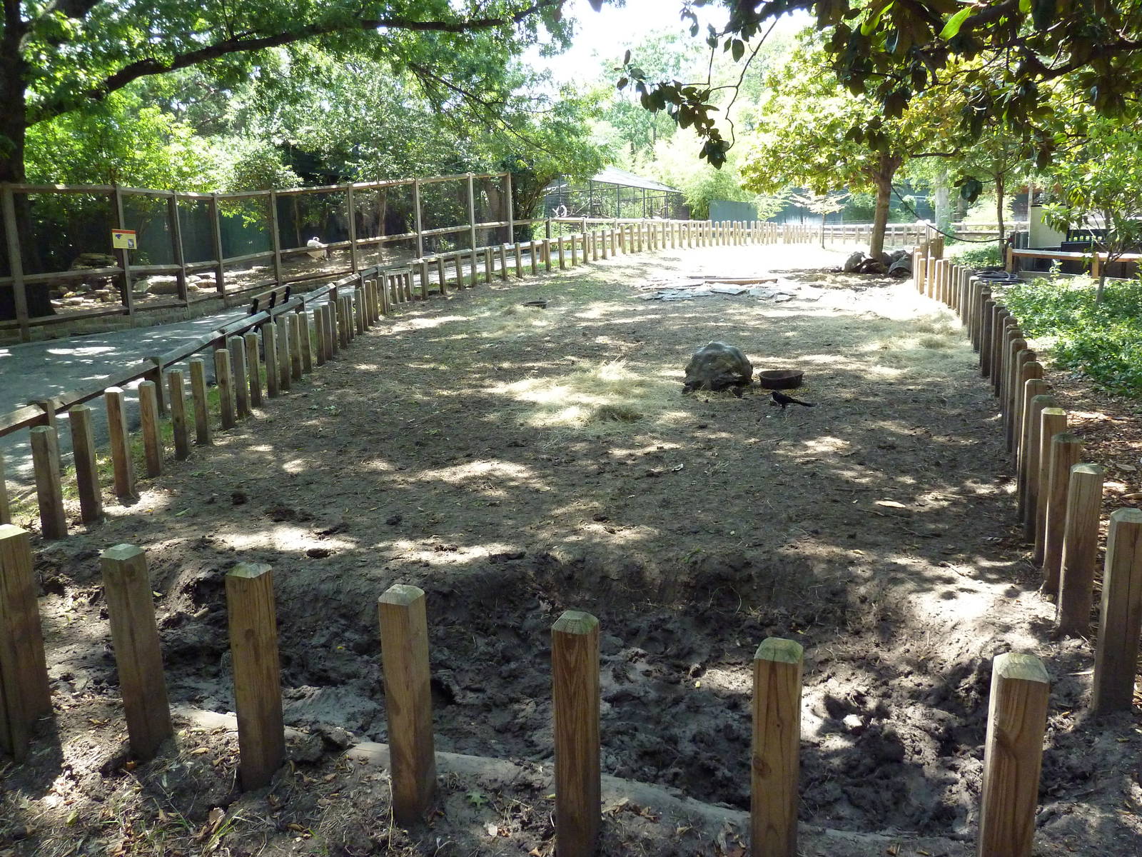 Galapagos Tortoise Exhibit