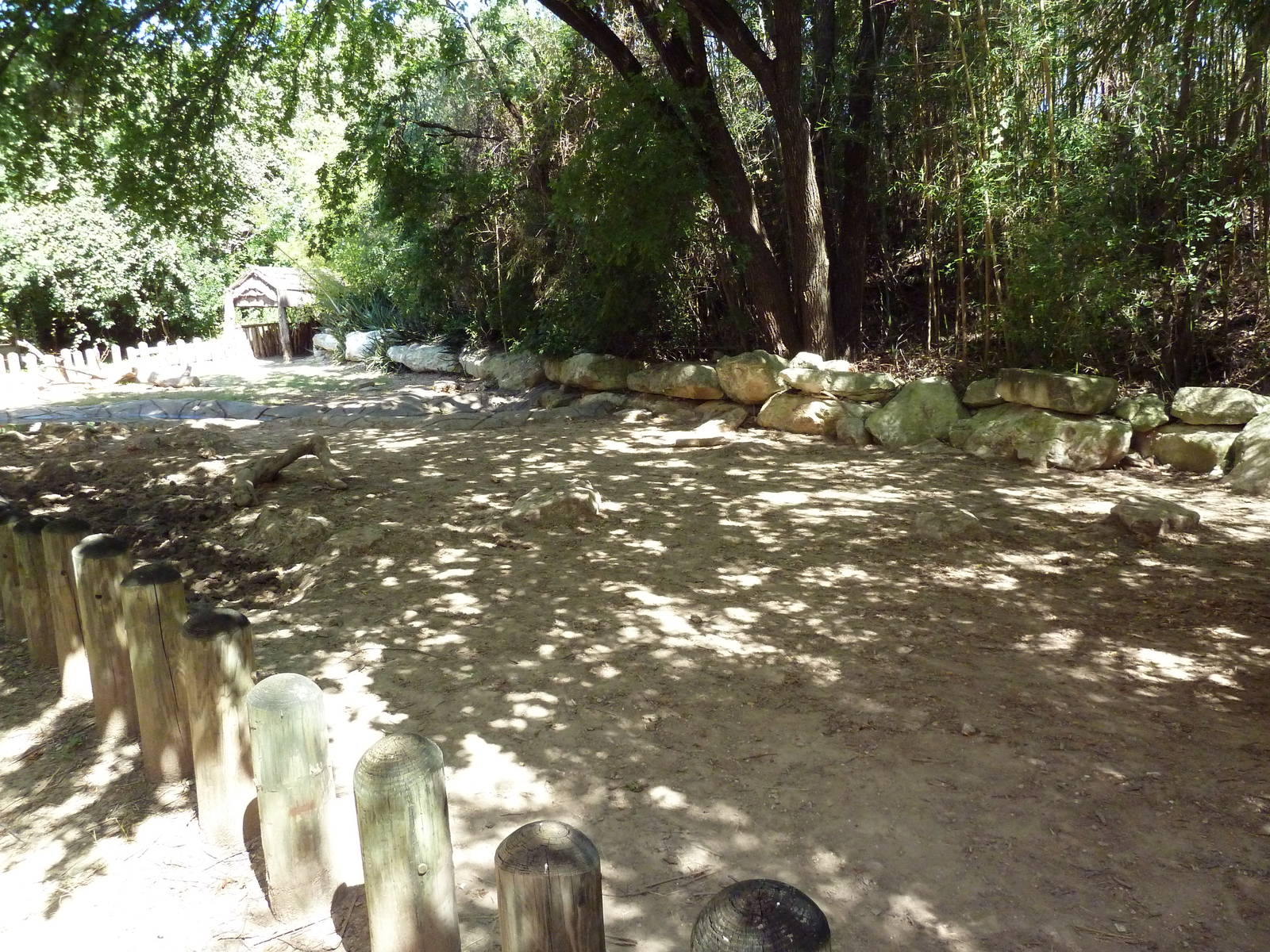 Galapagos Tortoise Exhibit
