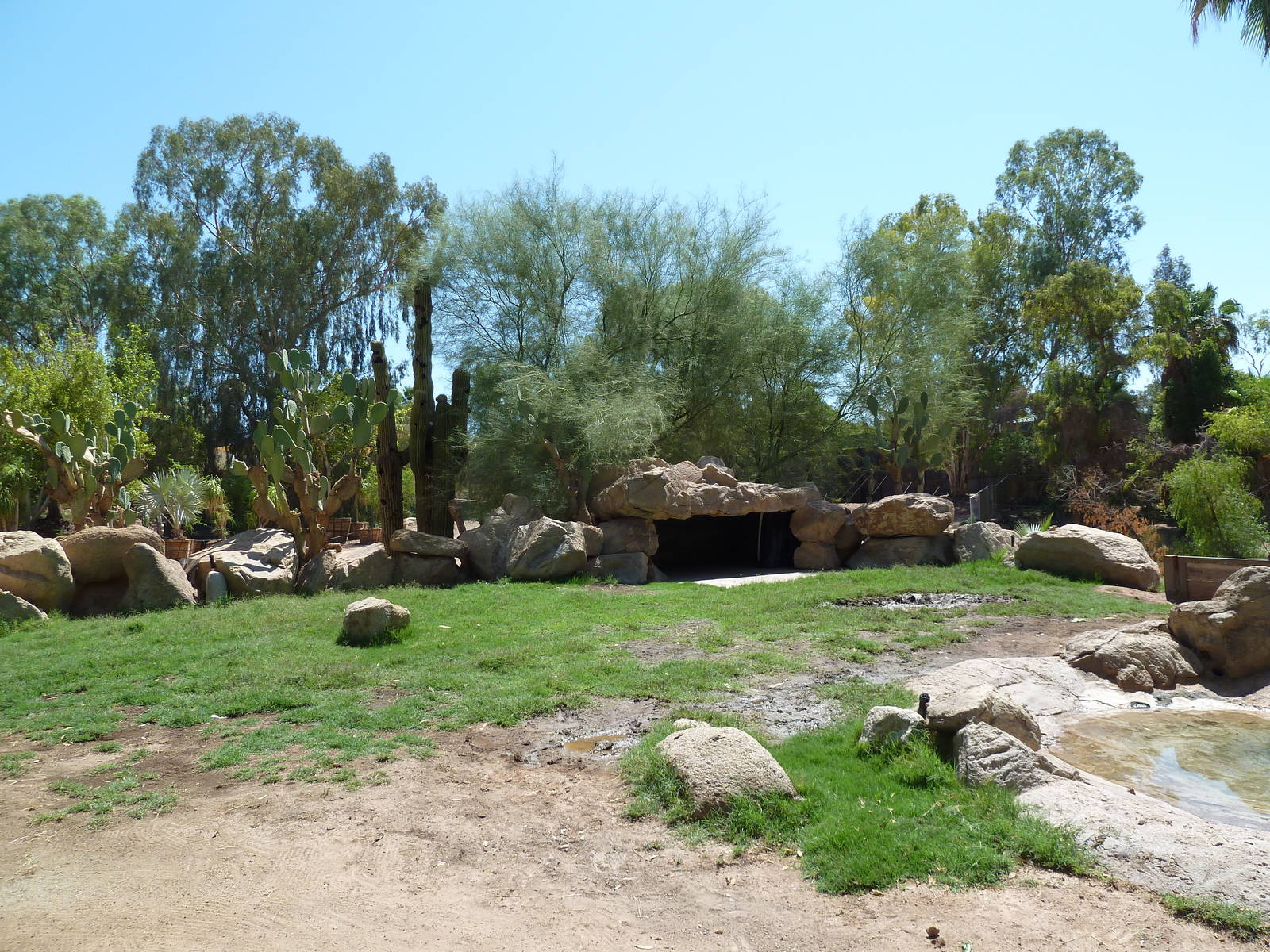 Galapagos Tortoise Exhibit