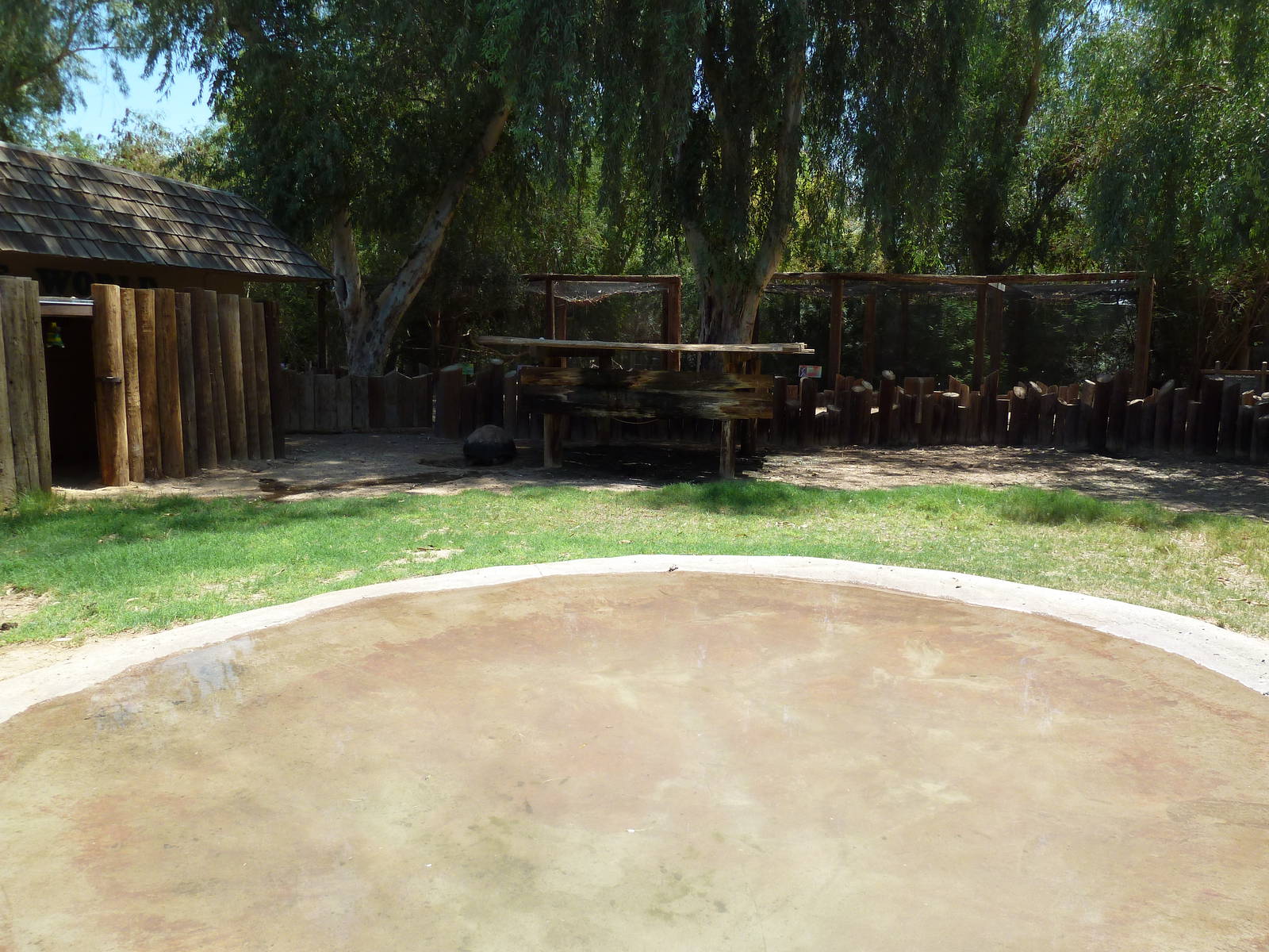 Galapagos Tortoise Exhibit