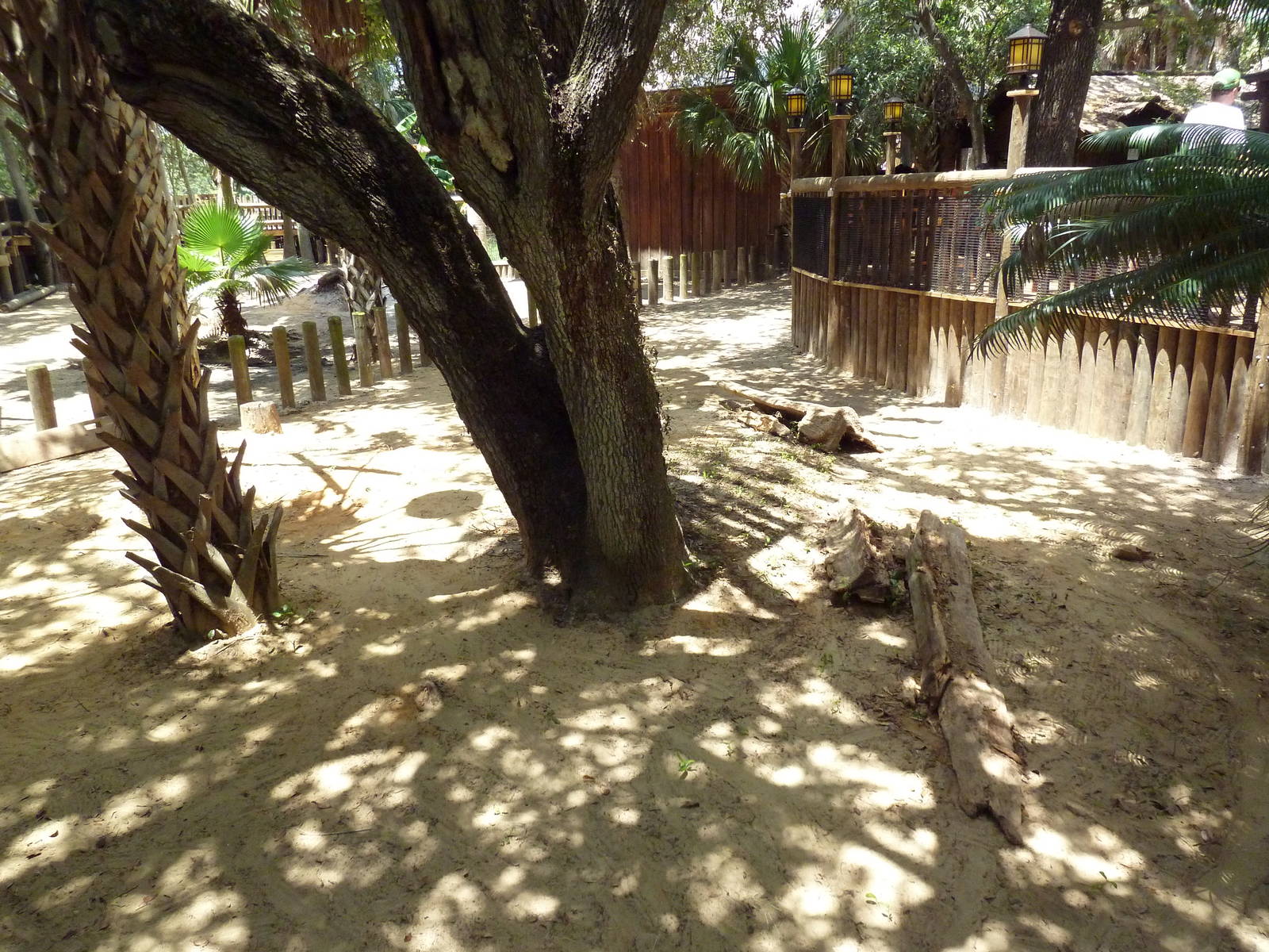 Galapagos Tortoise Exhibit