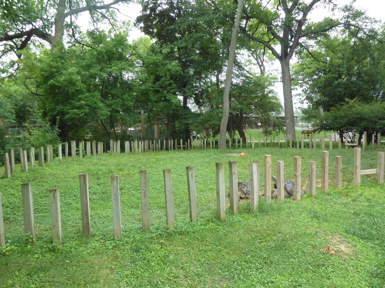 Galapagos Tortoise Exhibit