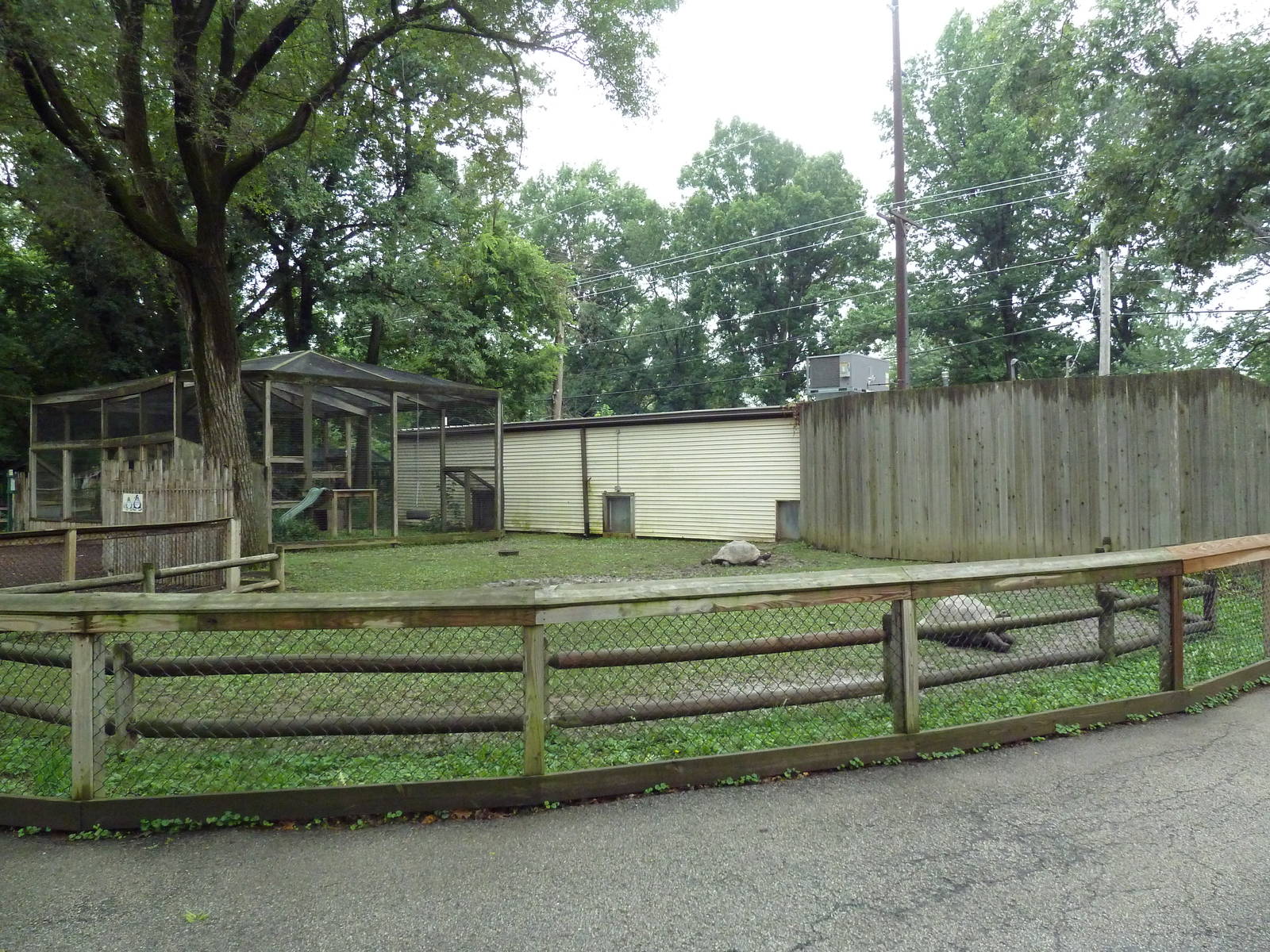 Galapagos Tortoise Exhibit