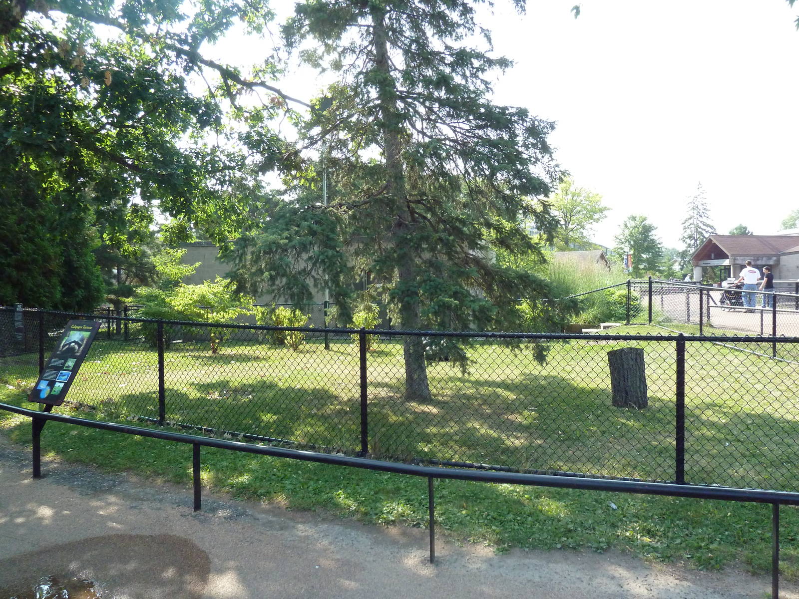 Galapagos Tortoise Exhibit