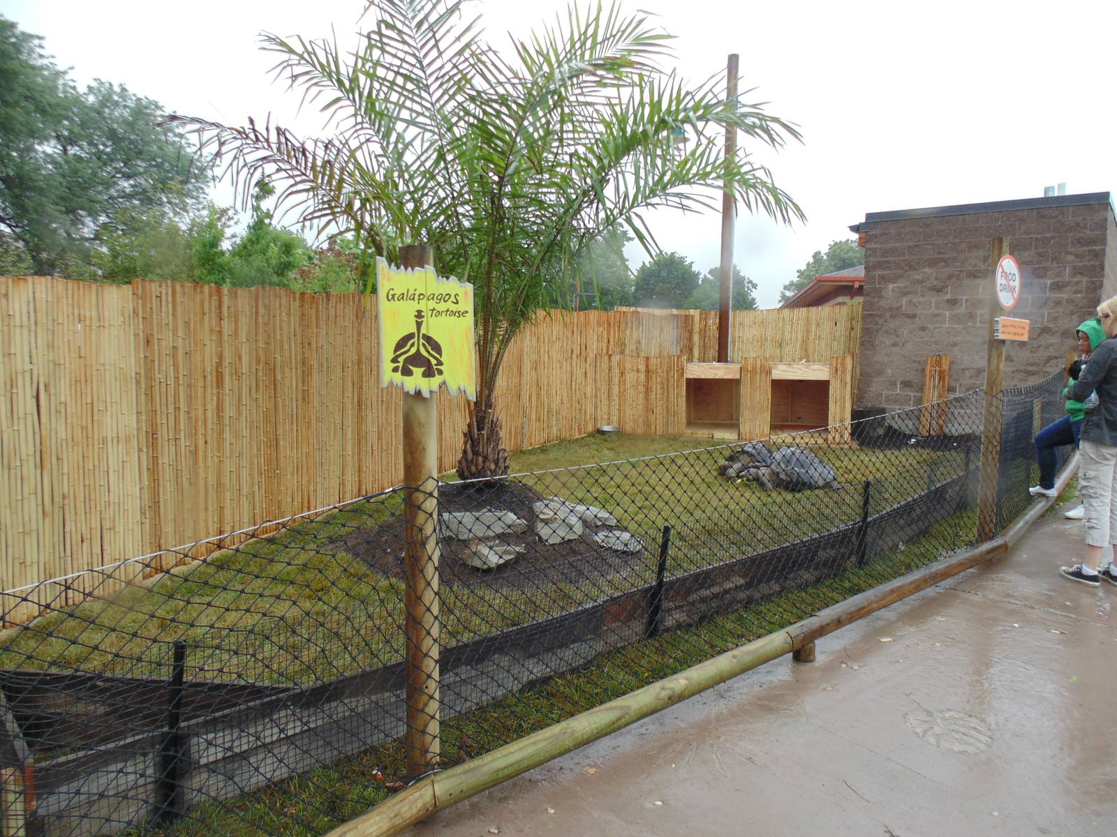 Galapagos Tortoise Exhibit