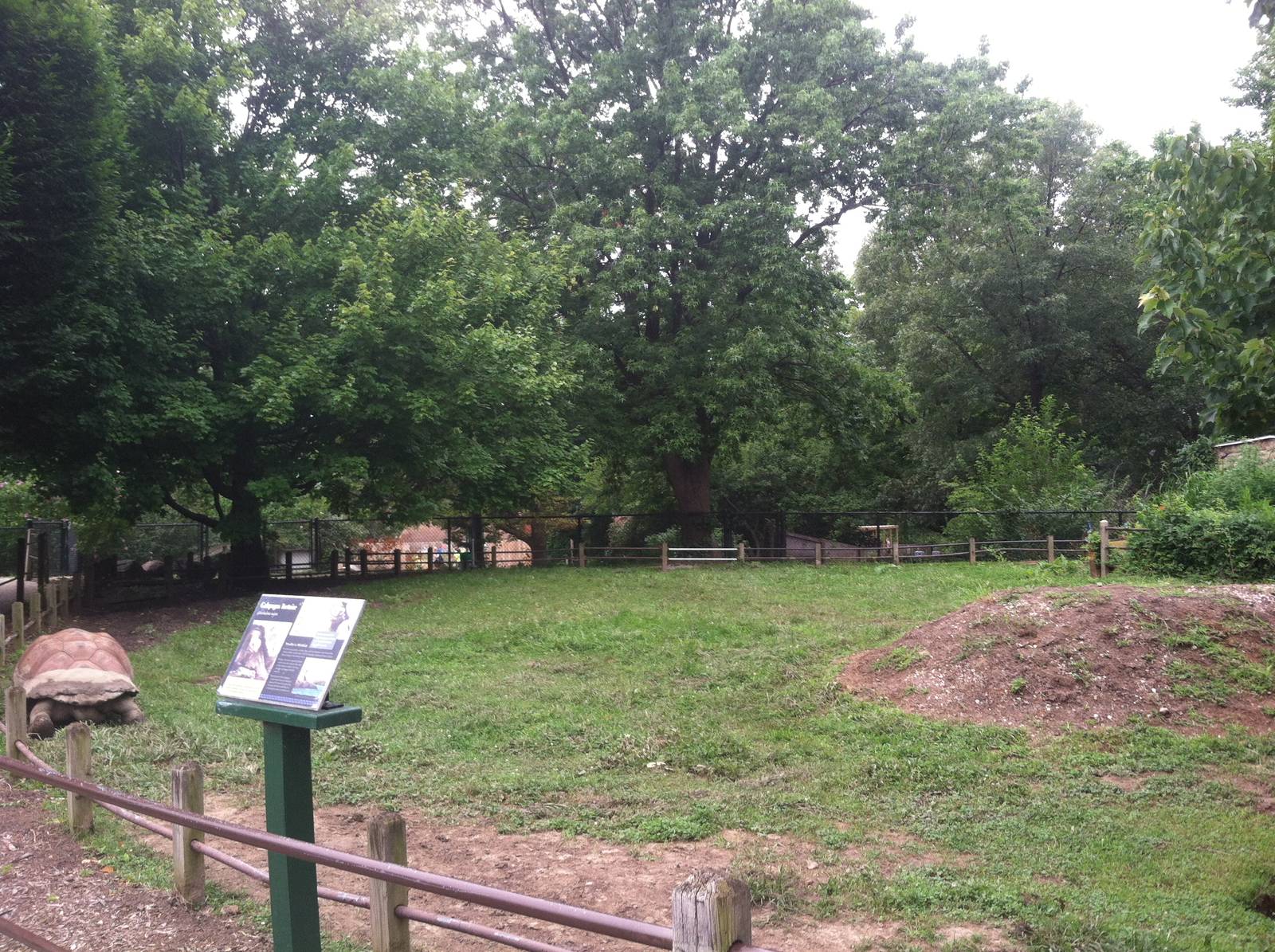 Galapagos Tortoise Exhibit