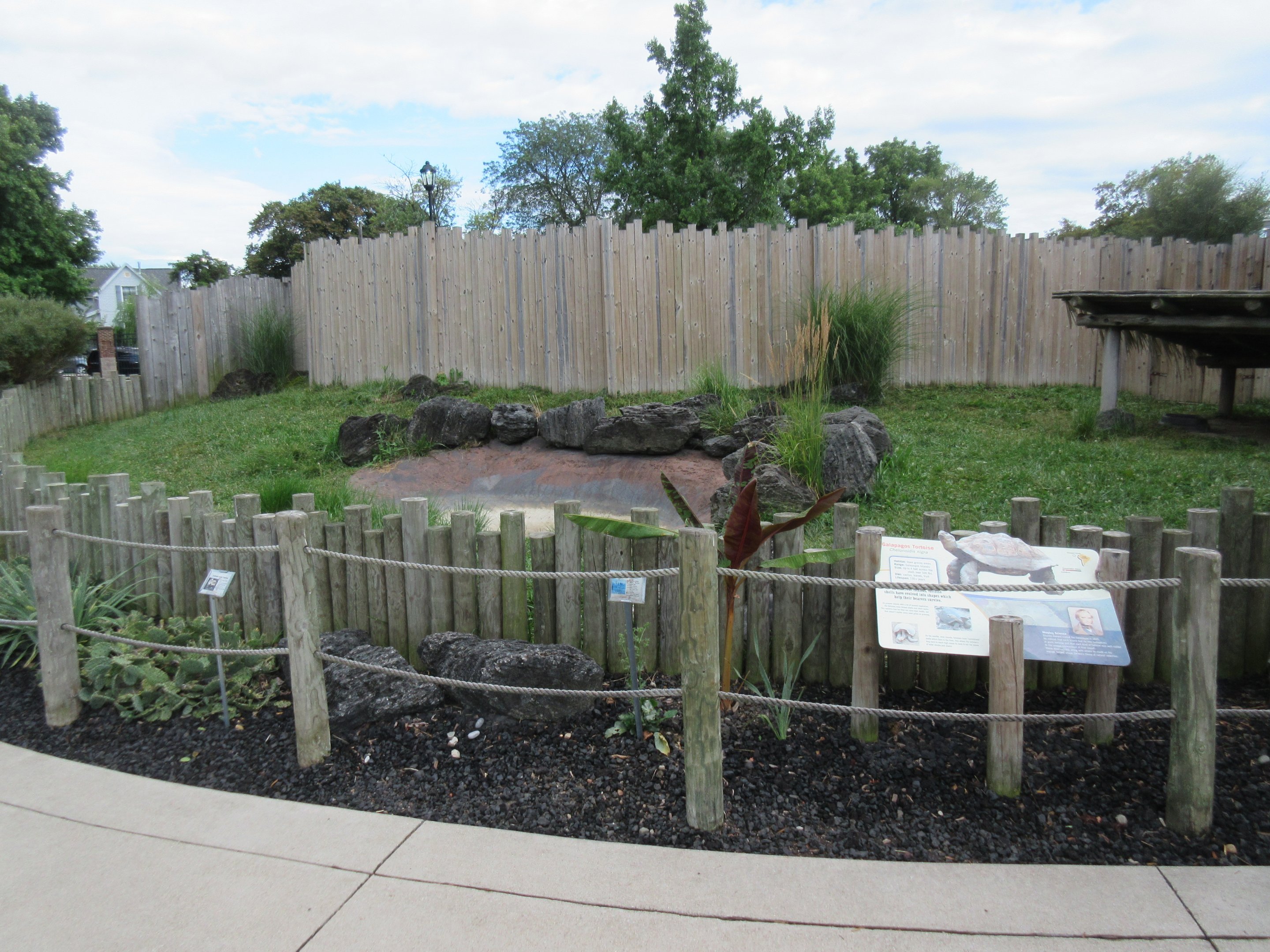Galapagos Tortoise Exhibit