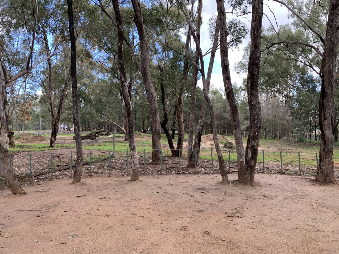 Galapagos Tortoise Exhibit